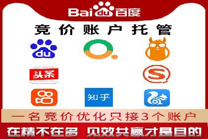 竞价广告赚钱案例：从新手到专家
